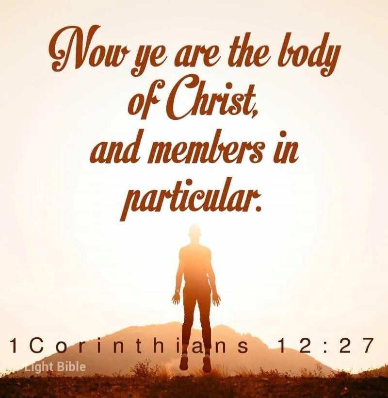 Now ye are the body of Christ, and members in particular. 1 Corinthians 12:27