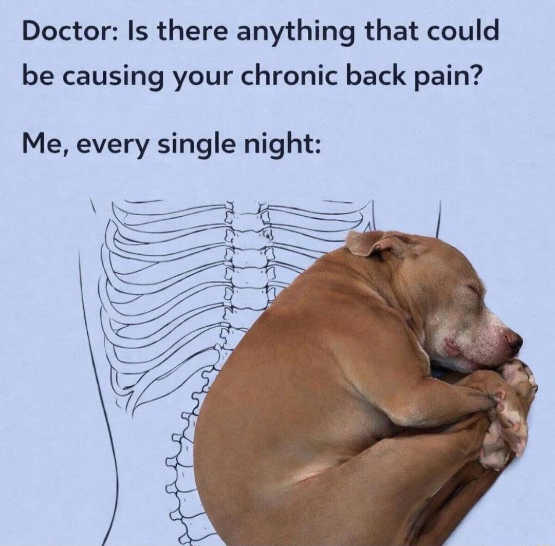 Doctor: Is there anything that could be causing your chronic back pain?
Me, every single night: