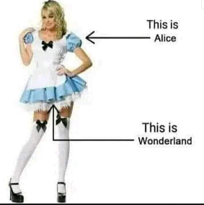 This is Alice. This is Wonderland.