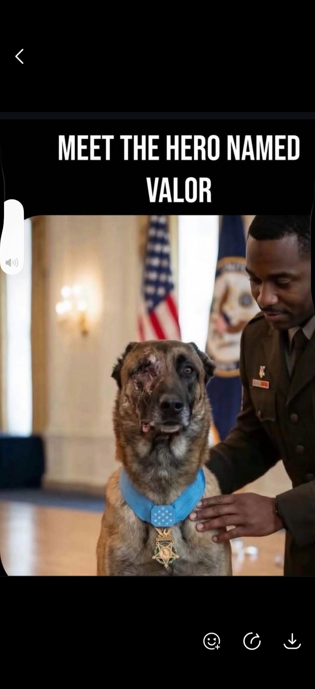 Meet the hero named Valor