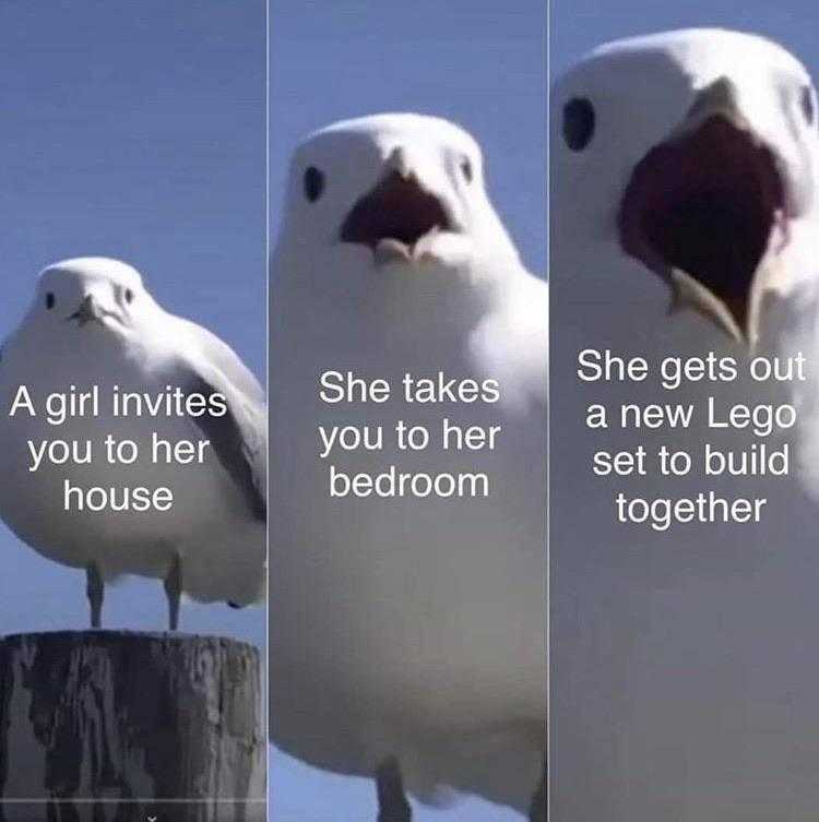 A girl invite you to her house SIERELG you to her oYooY0 4 She gets o anew Leg ST f ol oU1fo together
