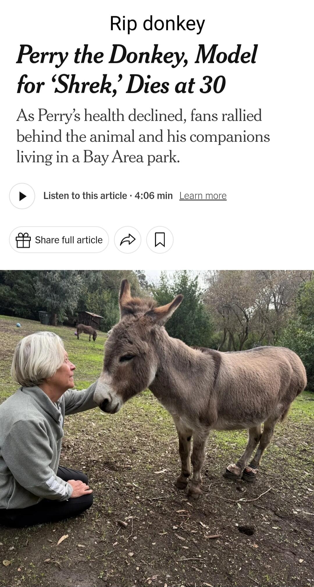 Rip donkey Perry the Donkey Model for Shrek Dies at 30 As Perrys health declined fans rallied behind the animal and his companions living in a Bay Area park B Listen to this article 406 min L share fullartice