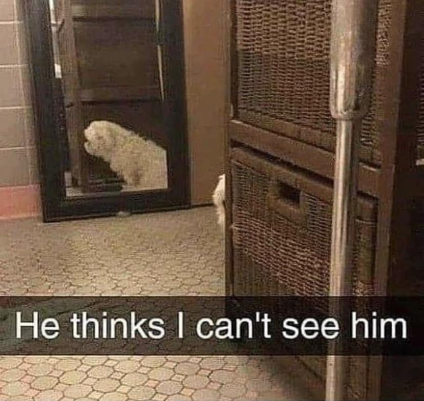 e him I