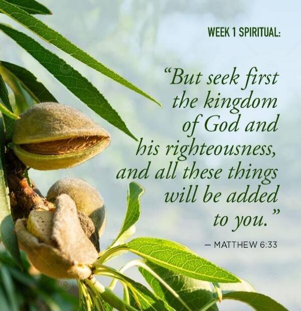WEEK 1 SPIRITUAL:
But seek first the kingdom of God and his righteousness, and all these things will be added to you.
— Matthew 6:33