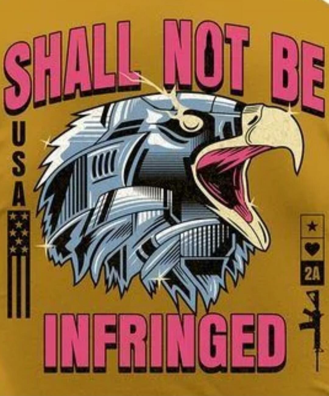 SHALL NOT BE INFRINGED USA 2A