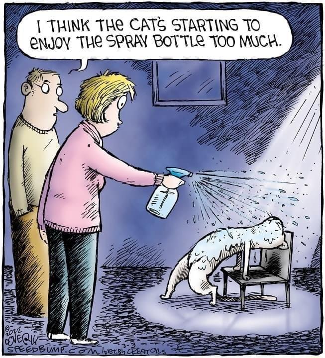 THINK THE CATS STARTING TO f CNJOY THR SPRAY BOTTLR TOO MUCH