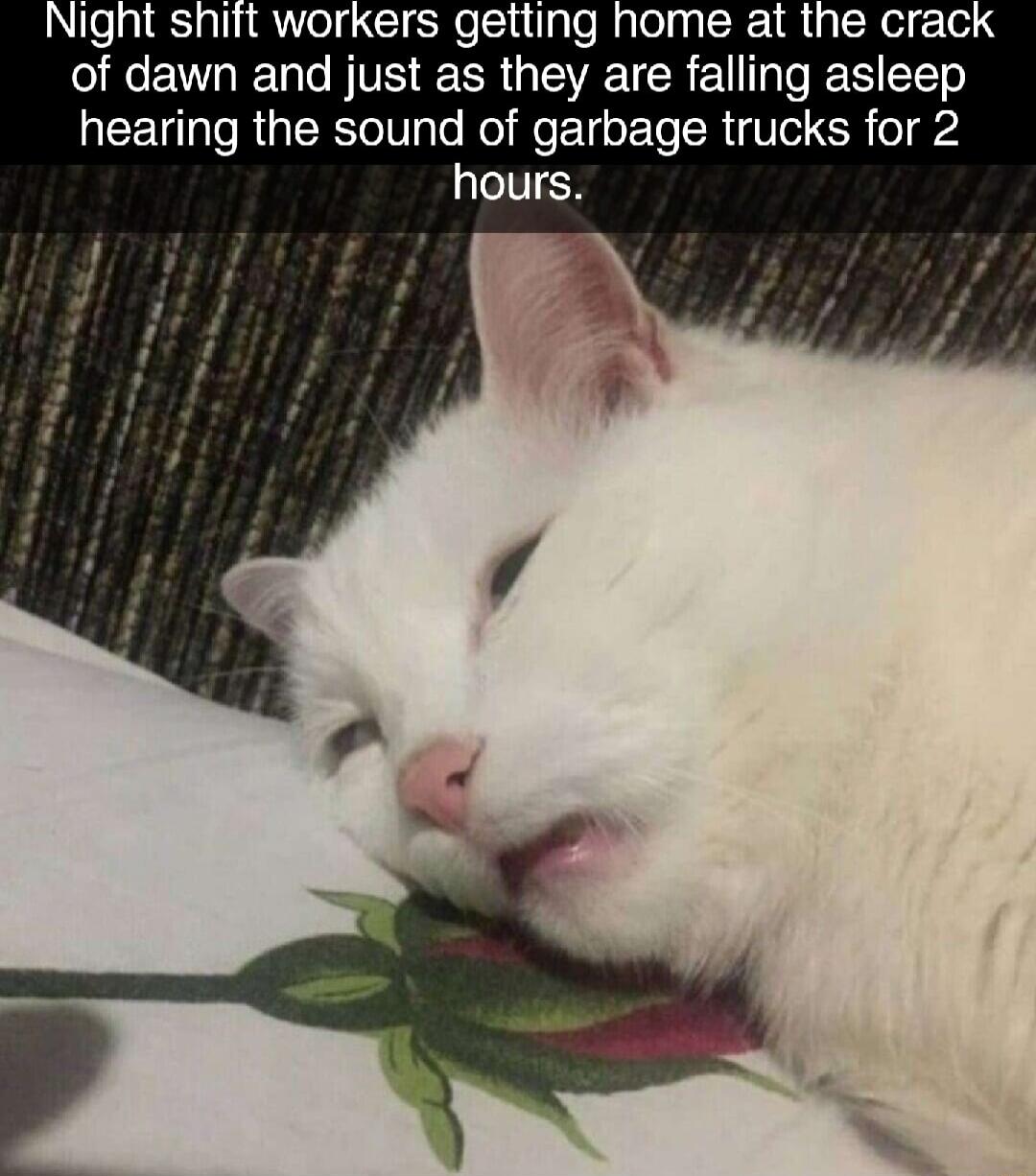 Night shift workers getting home at the cracl of dawn and just as they are falling asleep LEEULIRUERVT o RO RoET LI RV R o192 hours