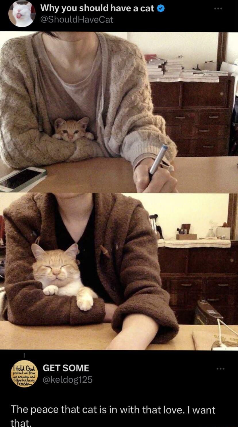 Why you should have a cat ShouldHaveCat GET SOME G keldog125 The peace that cat is in with that love want that