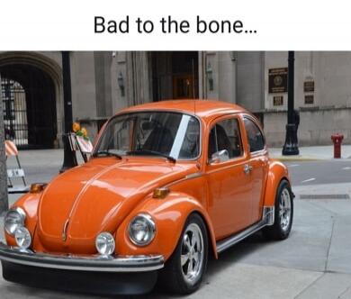 Bad to the bone...