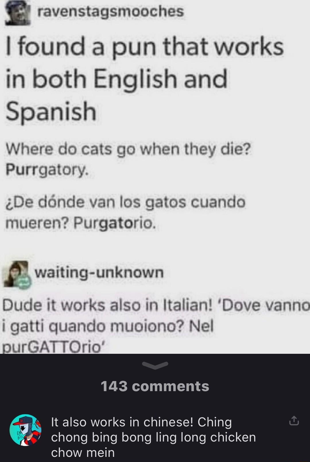 ravenstagsmooches found a pun that works in both English and Spanish Where do cats go when they die Purrgatory De dnde van los gatos cuando mueren Purgatorio E waiting unknown Dude it works also in Italian Dove vanno i gatti quando muoiono Nel urGATTOrio 143 comments It also works in chinese Ching chong bing bong ling long chicken chow mein