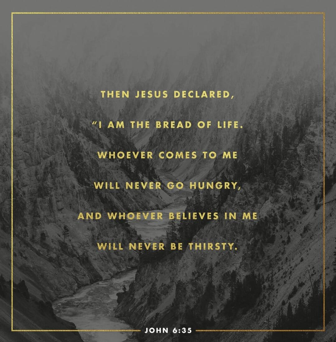 THEN JESUS DECLARED, 