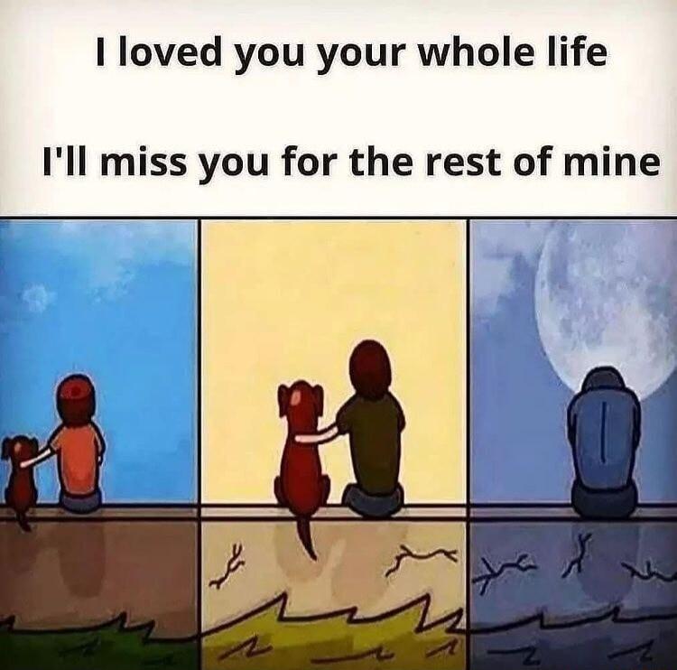 I loved you your whole life Ill miss you for the rest of mine