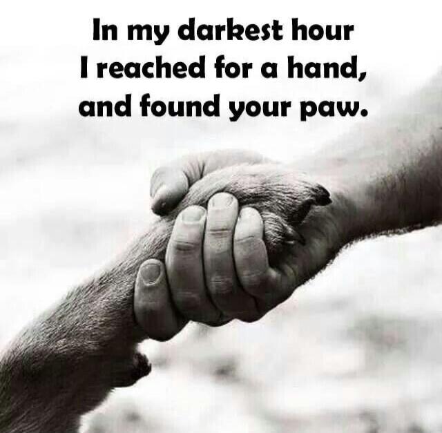 In my darkest hour I reached for a hand, and found your paw.