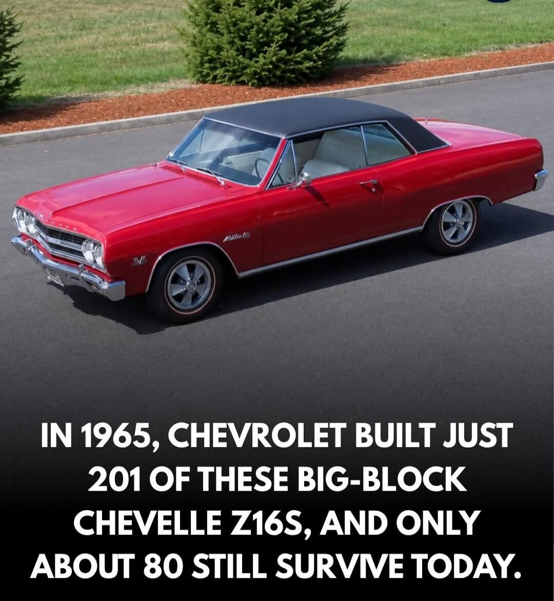 IN 1965, CHEVROLET BUILT JUST 201 OF THESE BIG-BLOCK CHEVELLE Z16S, AND ONLY ABOUT 80 STILL SURVIVE TODAY.