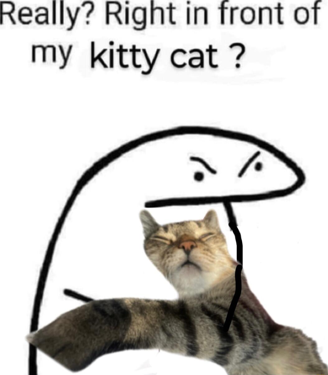 Really Right in front of my kitty cat