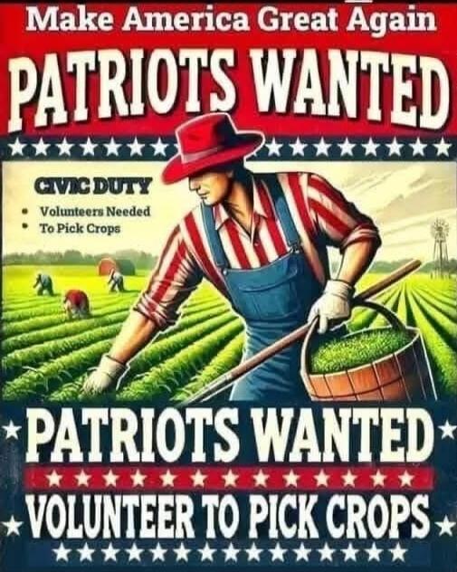 Make America Great Again
PATRIOTS WANTED
CIVIC DUTY
Volunteers Needed
To Pick Crops
PATRIOTS WANTED
VOLUNTEER TO PICK CROPS