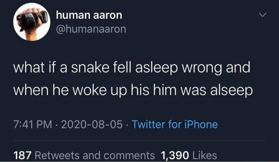 LULIELEETCD GLUTIEREET what if a snake fell asleep wrong and when he woke up his him was alseep 741 PM 2020 08 05 Twitter for iPhone 187 Retweets and comments 1390 Likes