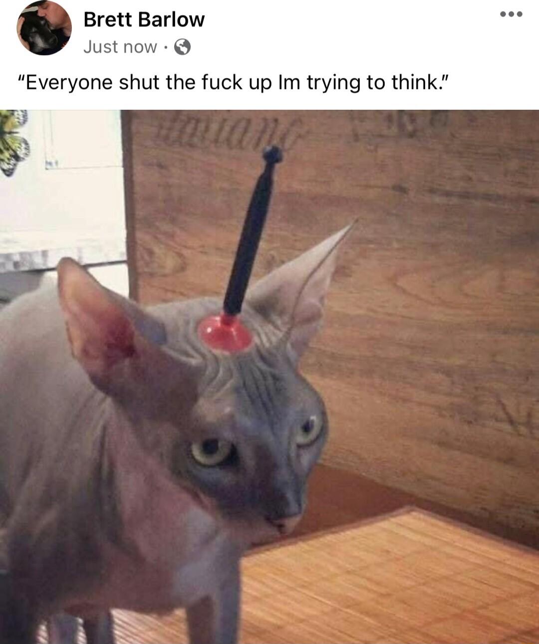 Brett Barlow Just now Everyone shut the fuck up Im trying to think