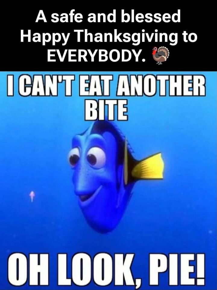 A safe and blessed Happy Thanksgiving to EVERYBODY. I CAN'T EAT ANOTHER BITE OH LOOK, PIE!