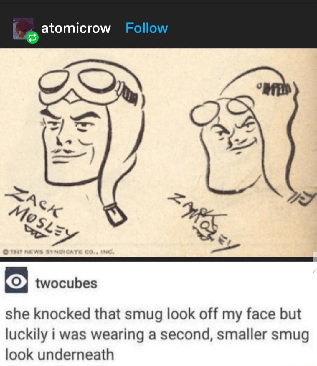 atomicrow she knocked that smug look off my face but luckily i was wearing a second smaller smug look underneath