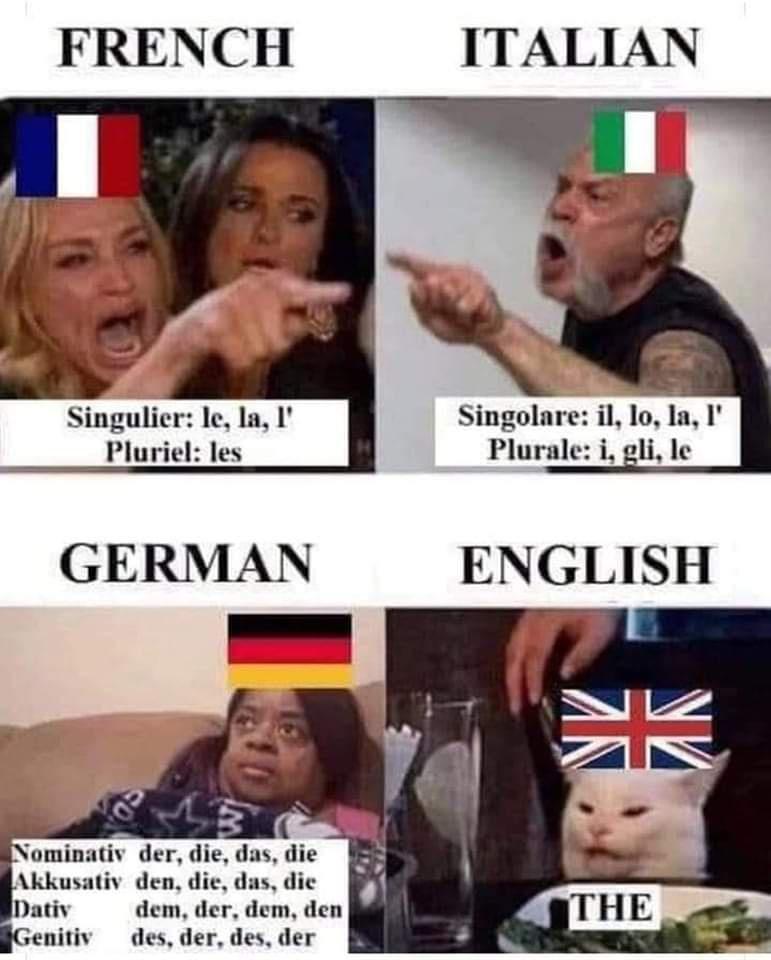 FRENCH ITALIAN Singulier le la I Singol Pluriel les Plurale i gli le GERMAN ENGLISH