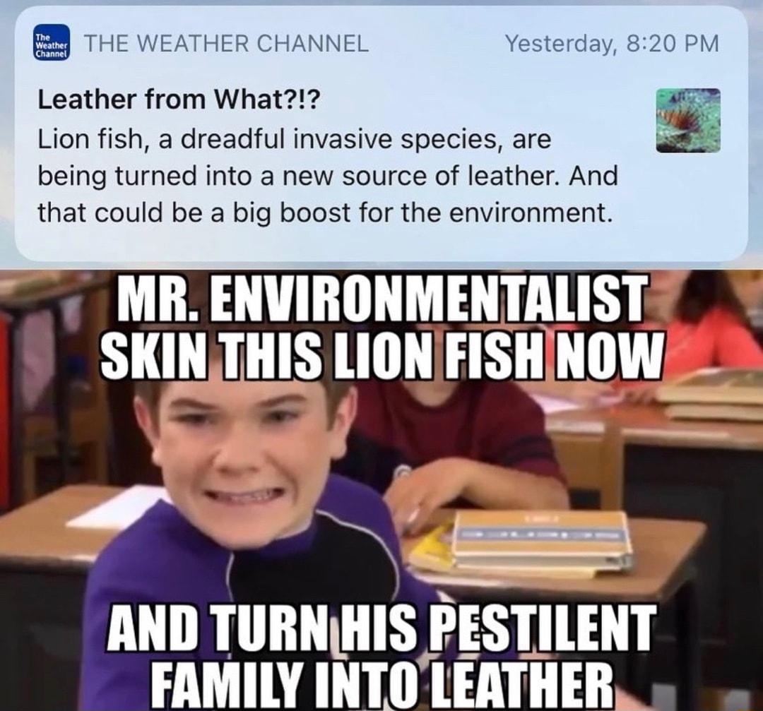 8 74 WEATHER CHANNE Yesterday 820 PM Leather from What Lion fish a dreadful invasive species are being turned into a new source of leather And that could be a big boost for the environment MR ENVIRONMENTALIST S SKINTHIS LIONFISH oW AND Illllll HIS PESTILENT FAMILY IIITII LEATHER