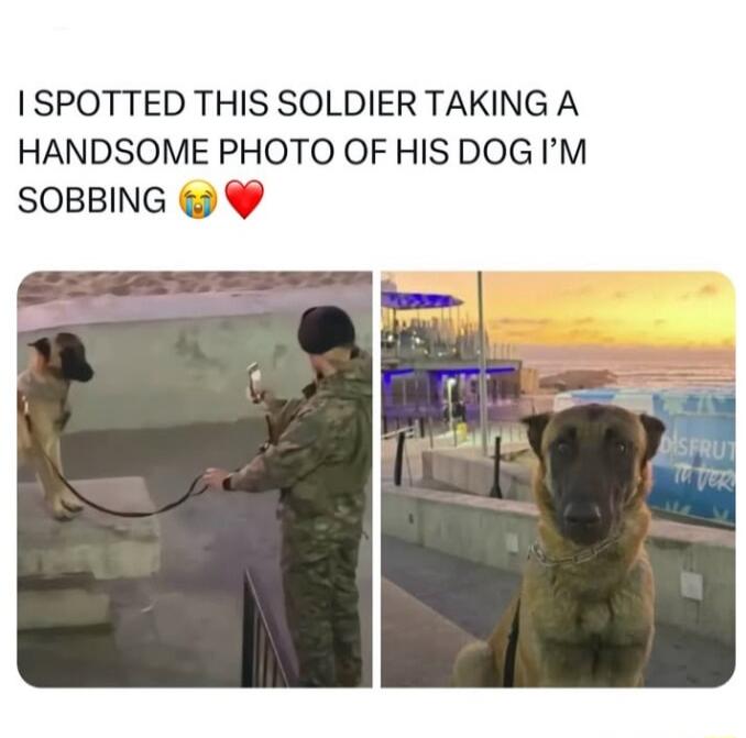 I SPOTTED THIS SOLDIER TAKING A HANDSOME PHOTO OF HIS DOG IM SOBBING