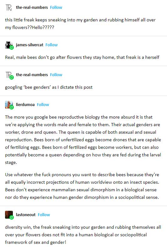 TR the real numbers Foliow this little freak keeps sneaking into my garden and rubbing himself all over my flowersHello2 james silvercat Follow Real male bees dont go after flowers they stay home that freak is a herself T the real numbers Follow googling bee genders as dictate this post The more you google bee reproductive biology the more absurd it is that lierdumoa Follow were applying the words