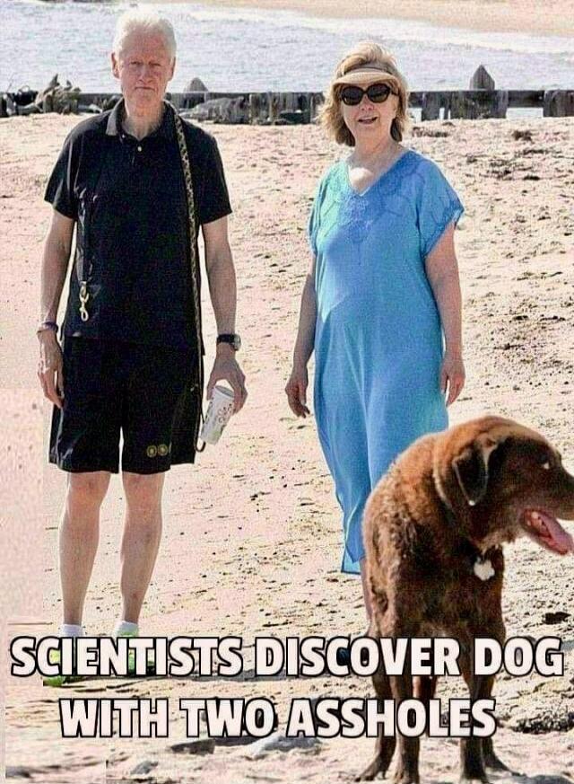 SCIENTISTS DISCOVER DOG WITH TWO ASSHOLES