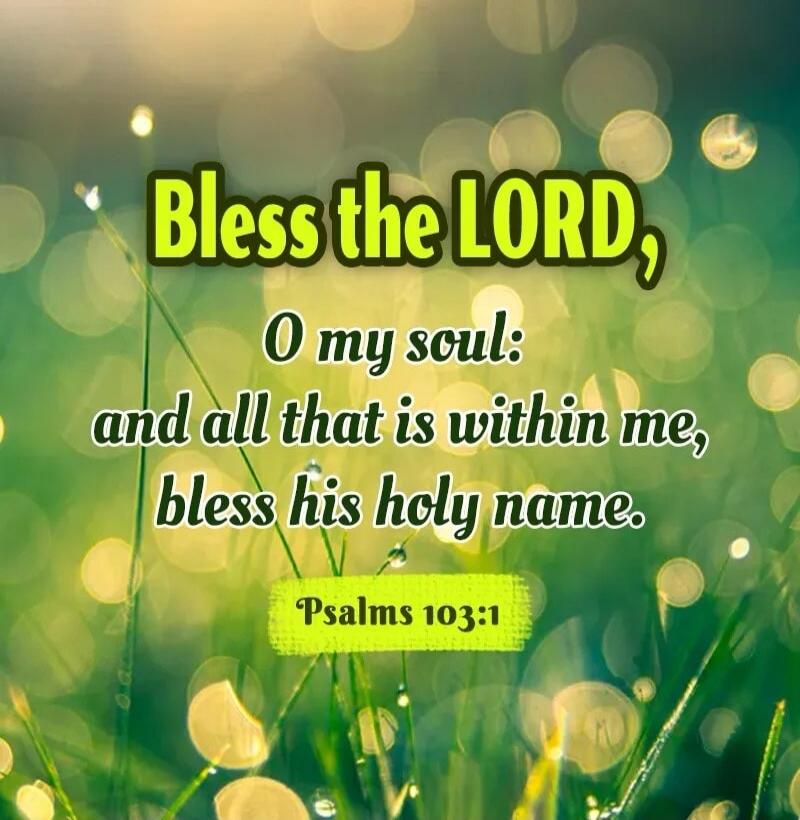 Bless the LORD, O my soul: and all that is within me, bless his holy name. Psalms 103:1