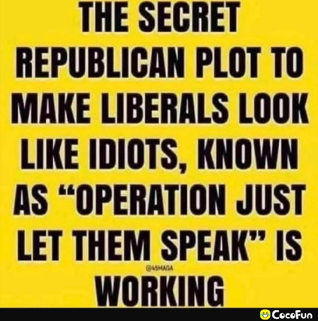 THE SECRET REPUBLICAN PLOT TO MAKE LIBERALS LOOK LIKE IDIOTS, KNOWN AS “OPERATION JUST LET THEM SPEAK” IS WORKING