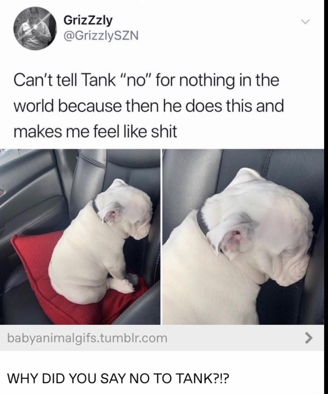 GrizZzly GrizzlySZN Cant tell Tank no for nothing in the world because then he does this and makes me feel like shit s WHY DID YOU SAY NO TO TANK