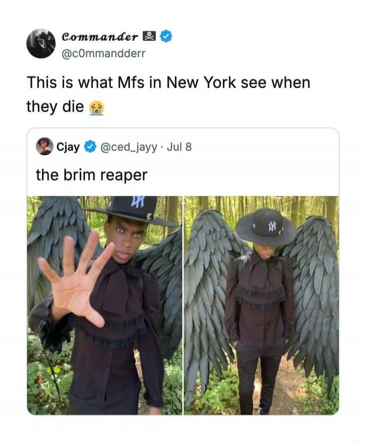 This is what Mfs in New York see when they die 😭 the brim reaper