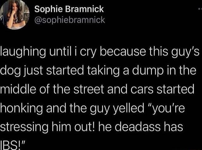 44 Sophie Bramnick sophiebramnick laughing until i cry because this guys dog just started taking a dump in the middle of the street and cars started lelaINale IETale RUACK e TNVAYE Te RRVe TN stressing him out he deadass has IRSI