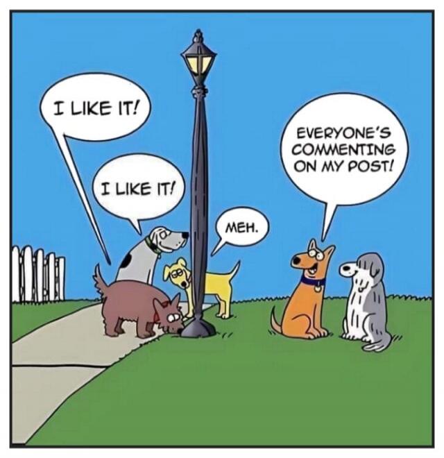 I LIKE IT! I LIKE IT! MEH. EVERYONE'S COMMENTING ON MY POST!