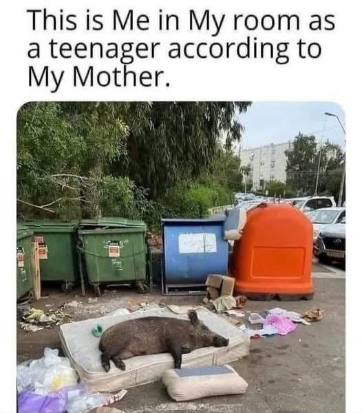 This is Me in My room as a teenager according to My Mother.