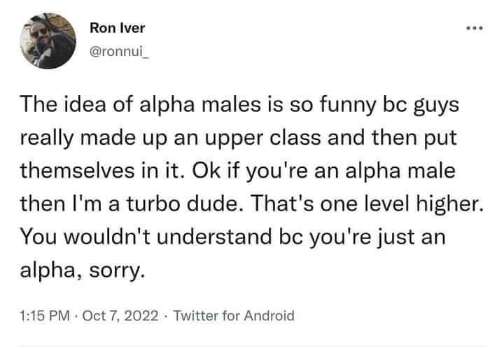 Ron Iver ronnui_ The idea of alpha males is so funny bc guys really made up an upper class and then put themselves in it Ok if youre an alpha male then Im a turbo dude Thats one level higher You wouldnt understand bc youre just an alpha sorry 115 PM Oct 7 2022 Twitter for Android 9906 Retweets 443 Quote Tweets 953K Likes