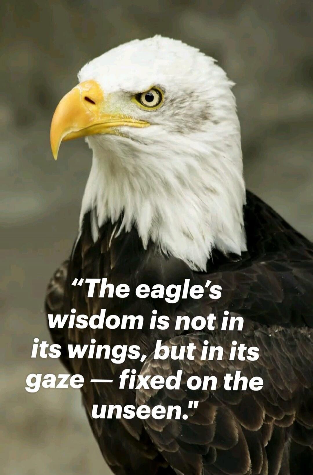 The eagle's wisdom is not in its wings, but in its gaze — fixed on the unseen.