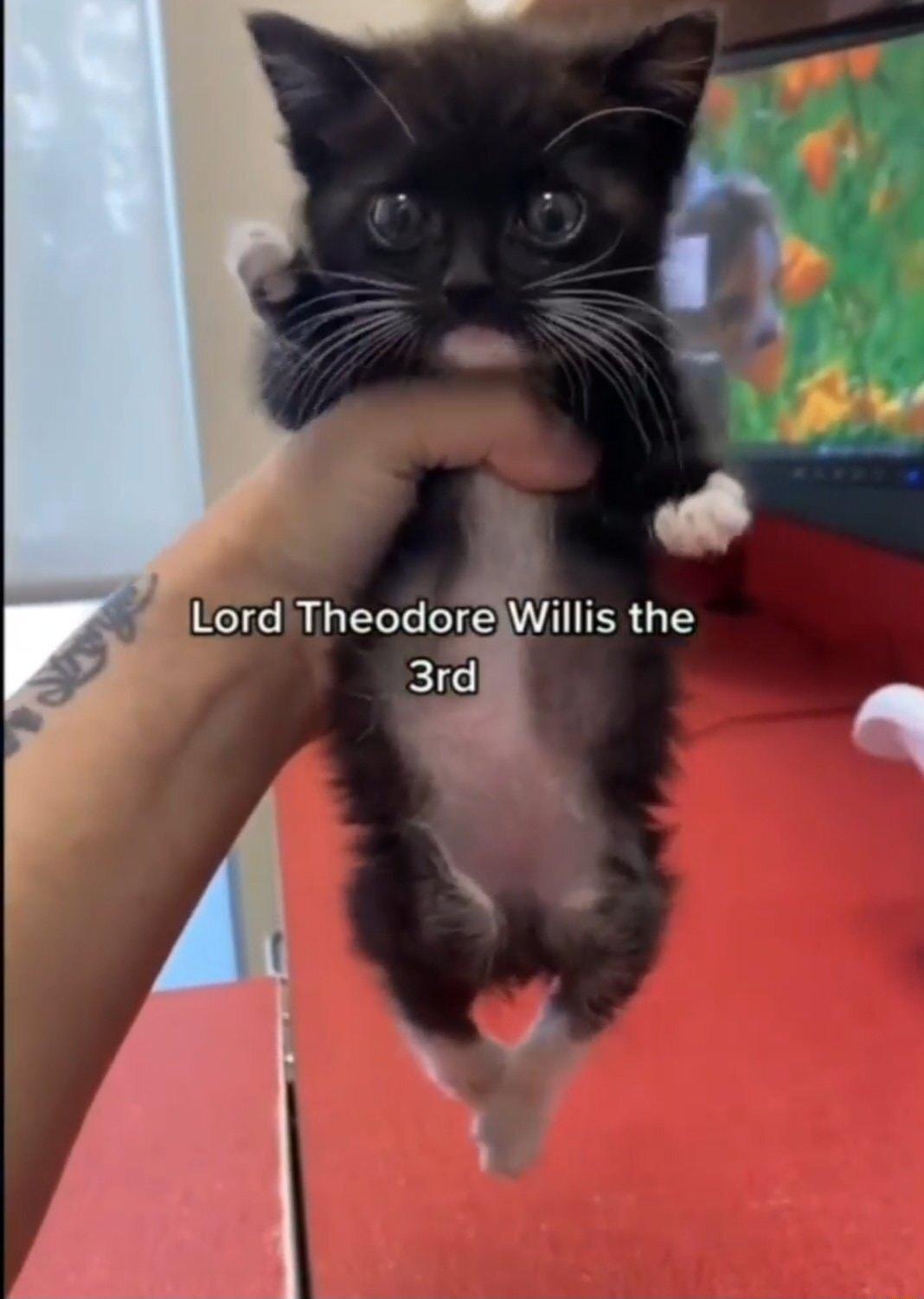 Lord TheodorelWillis the 3rdk