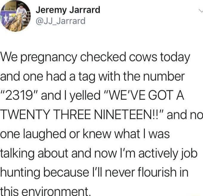 Jeremy Jarrard JJ_Jarrard We pregnancy checked cows today and one had a tag with the number 2319 and yelled WEVE GOT A TWENTY THREE NINETEEN and no one laughed or knew what was talking about and now Im actively job hunting because Ill never flourish in this environment