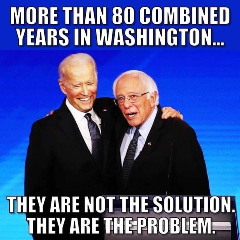 MORE THAN 80 COMBINED YEARS IN WASHINGTON L THEY ARE NOTTHE SOLUTION THEY ARE THERROBLEM