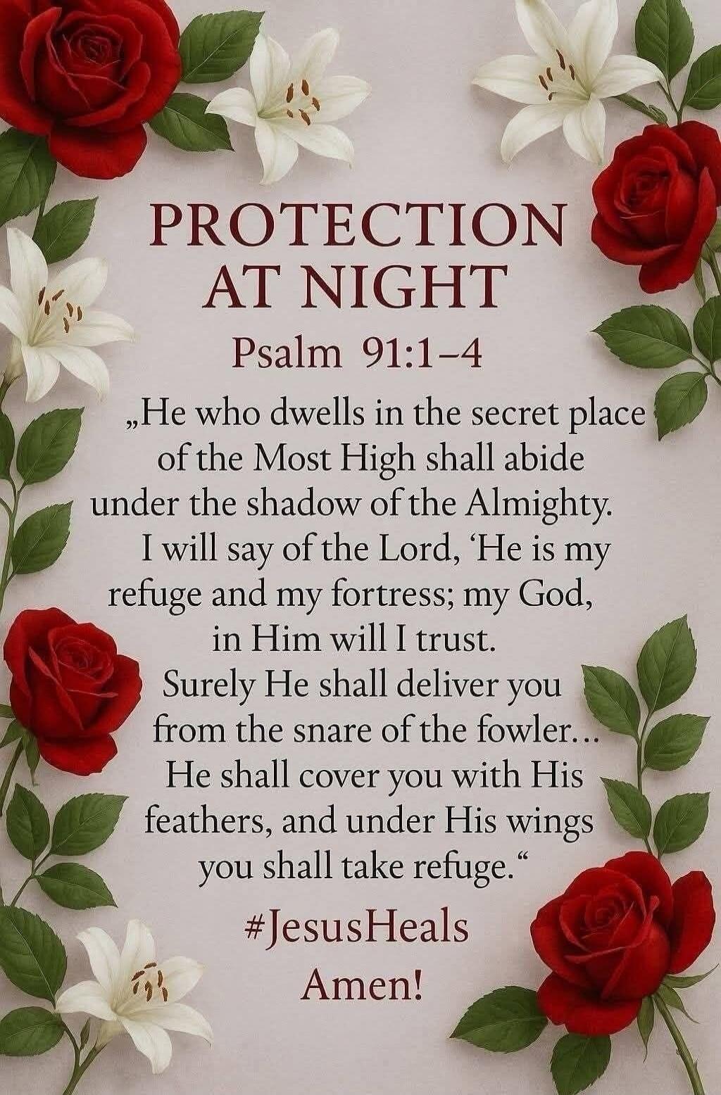 PROTECTION AT NIGHT
Psalm 91:1-4

“He who dwells in the secret place of the Most High shall abide under the shadow of the Almighty.
I will say of the Lord, ‘He is my refuge and my fortress; my God, in Him will I trust.
Surely He shall deliver you from the snare of the fowler... He shall cover you with His feathers, and under His wings you shall tak