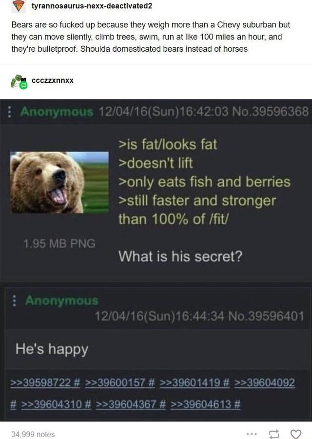 tyrannosaurus nexx deactivated2 Bears are 5o fucked up because they weigh more than a Chevy suburban but they can move silentlyclimb trees swim run atlike 100 miles an hour and theye bulletproo Shoulda domesticated bears instead of horses 1 cecmmonx What is his secret Hes happy