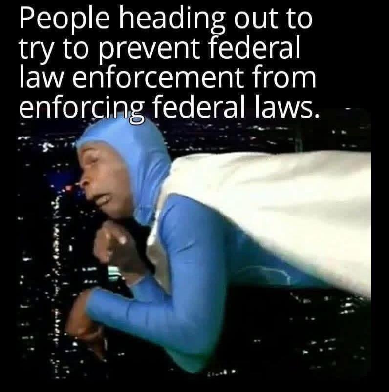 People heading out to try to prevent federal law enforcement from enforcing federal laws.