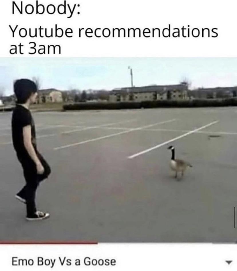 Nobody Youtube recommendations at 3am Emo Boy Vs a Goose v