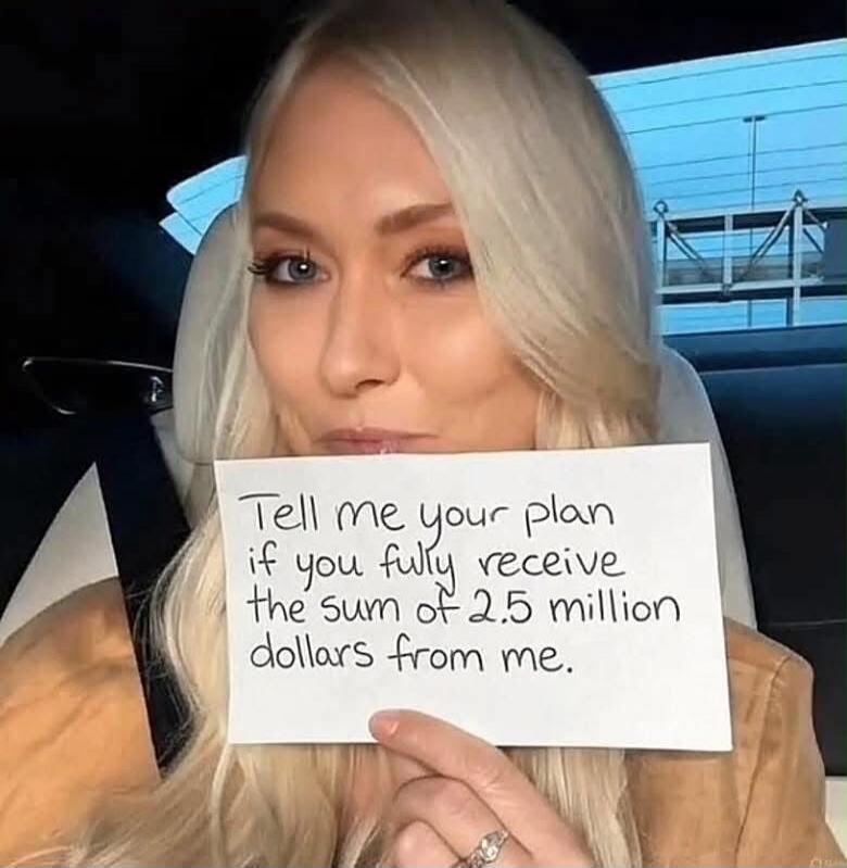 Tell me your plan if you fully receive the sum of 2.5 million dollars from me.