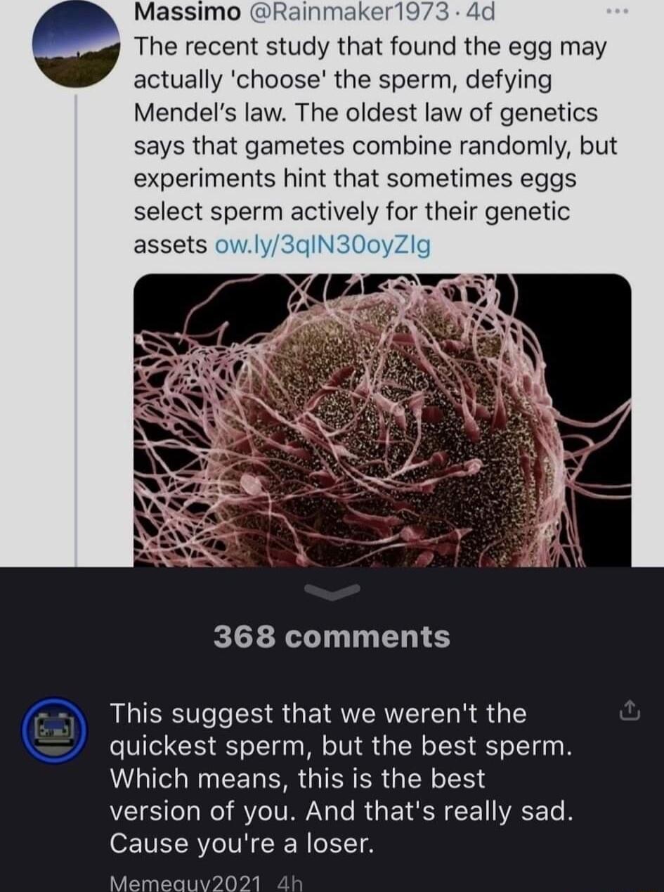 Massimo Rainmaker1973 4d The recent study that found the egg may actually choose the sperm defying Mendels law The oldest law of genetics says that gametes combine randomly but experiments hint that sometimes eggs select sperm actively for their genetic assets 368 comments This suggest that we werent the quickest sperm but the best sperm Which means this is the best version of you And thats really