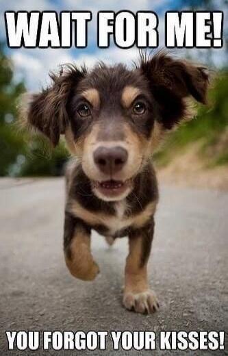 WAIT FOR ME! YOU FORGOT YOUR KISSES!