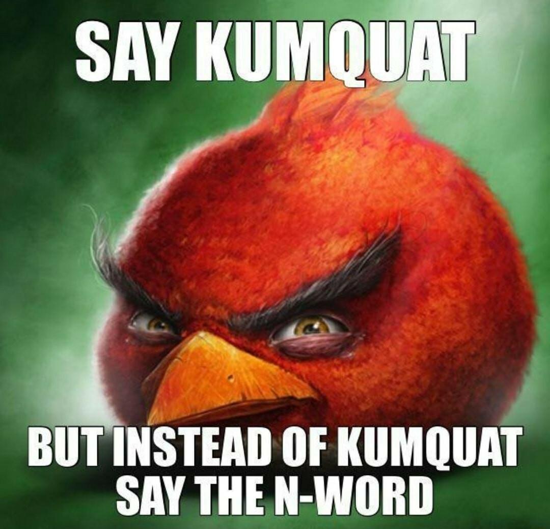 SAY KgMW i INSTHD OF KUMQUAT SAY THE N WORD