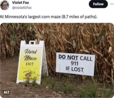Violet Fox t Minnesotas largest corn maze 87 miles of paths DO NOT CALL n IF LOST AT